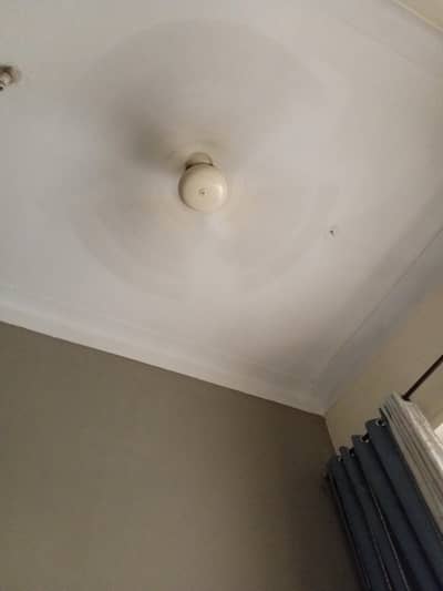 ceiling fan (Sk)