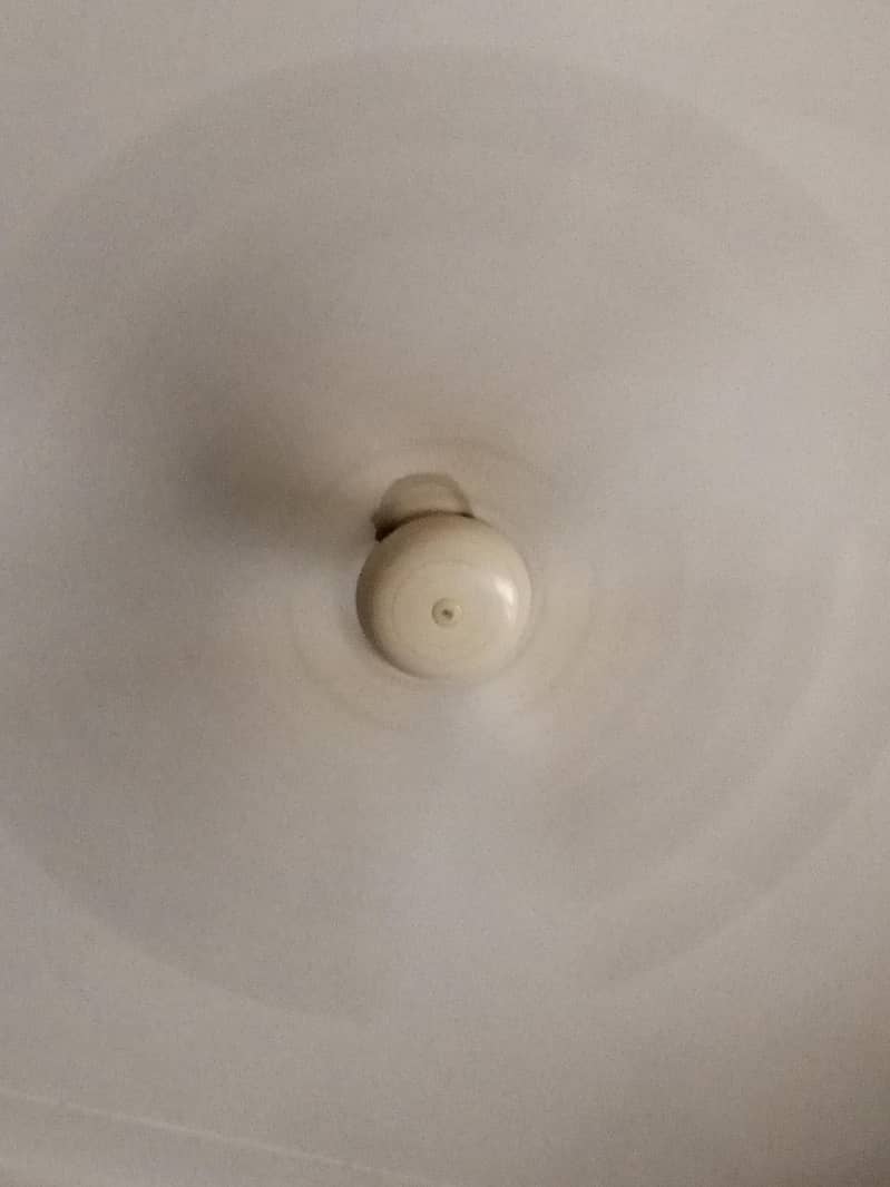 ceiling fan (Sk) 1