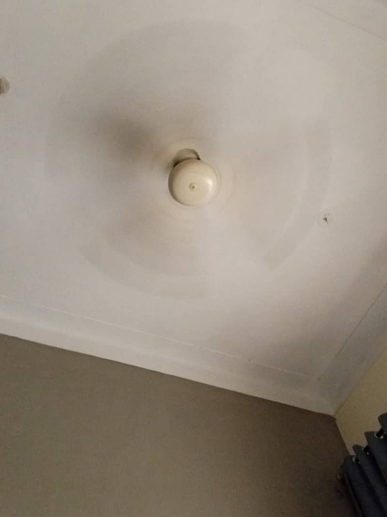 ceiling fan (Sk) 2