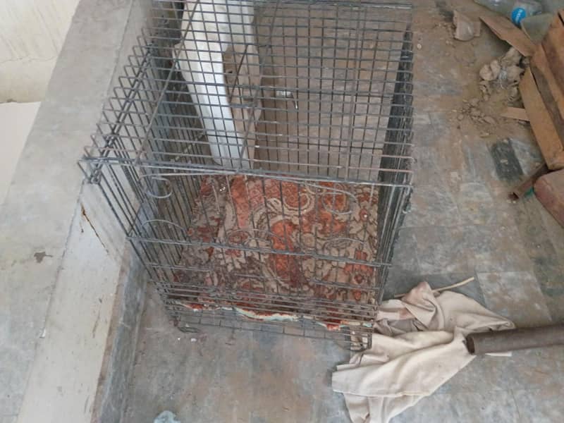 cage for raw 0