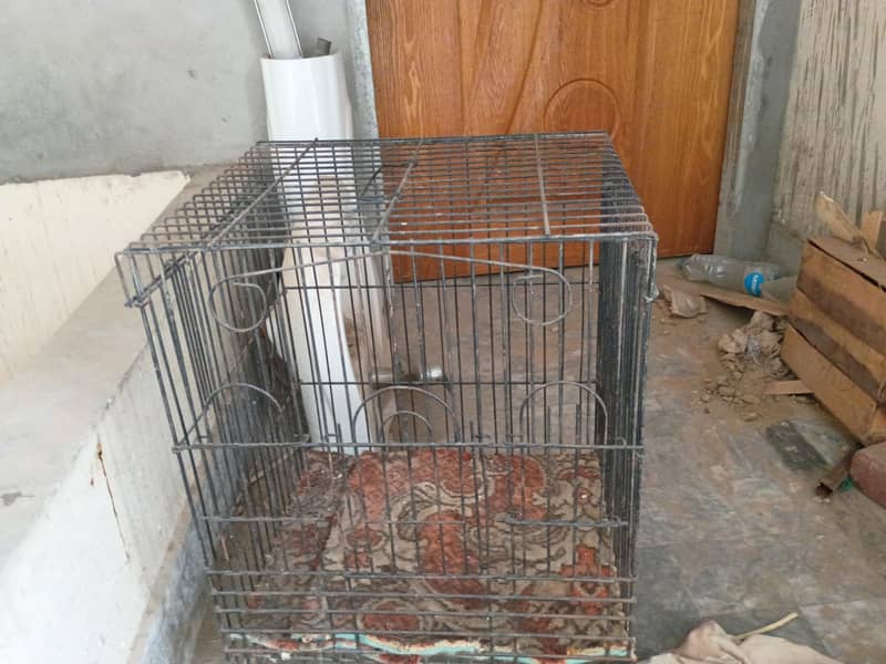cage for raw 1