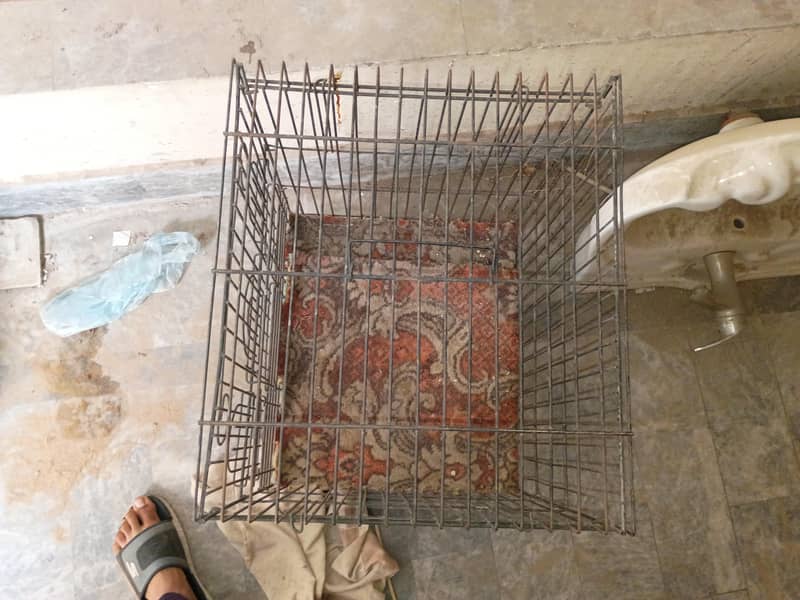 cage for raw 2