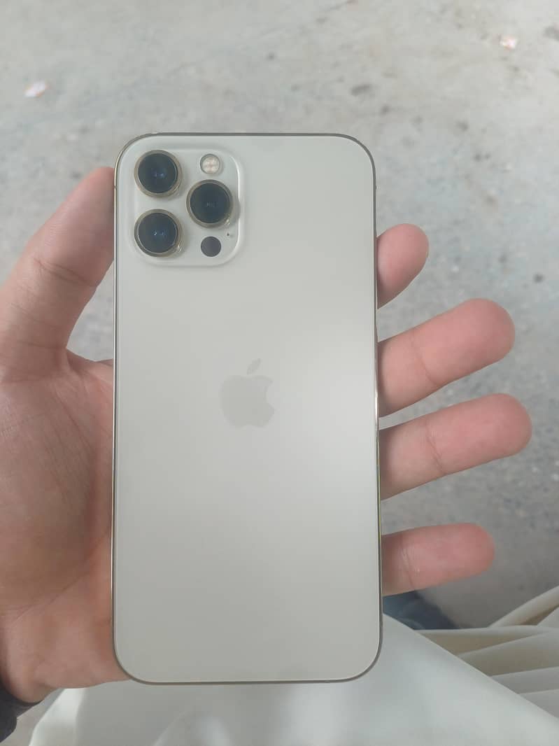 Apple iPhone 12 Pro Max 1