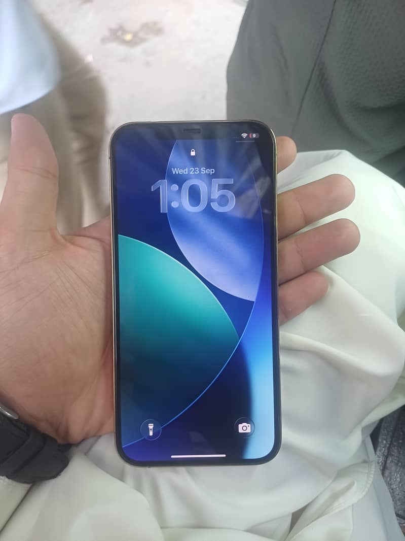 Apple iPhone 12 Pro Max 2
