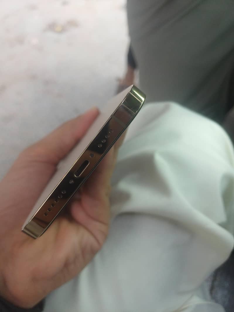 Apple iPhone 12 Pro Max 5