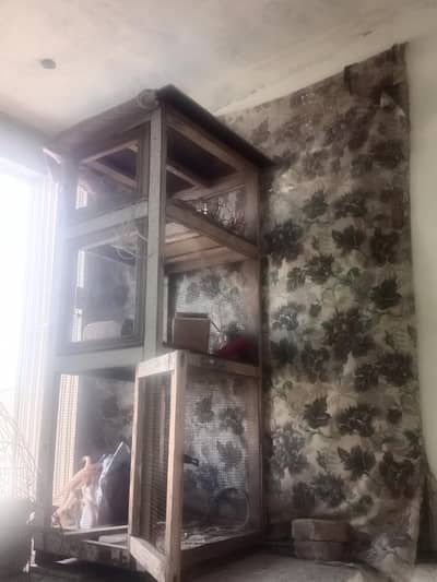 used aseel cage