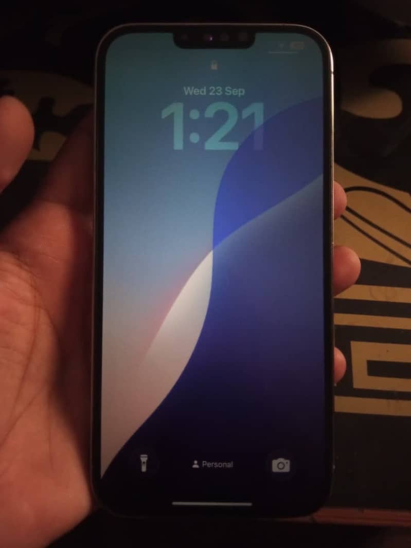 Apple iPhone 13 Pro Max 1