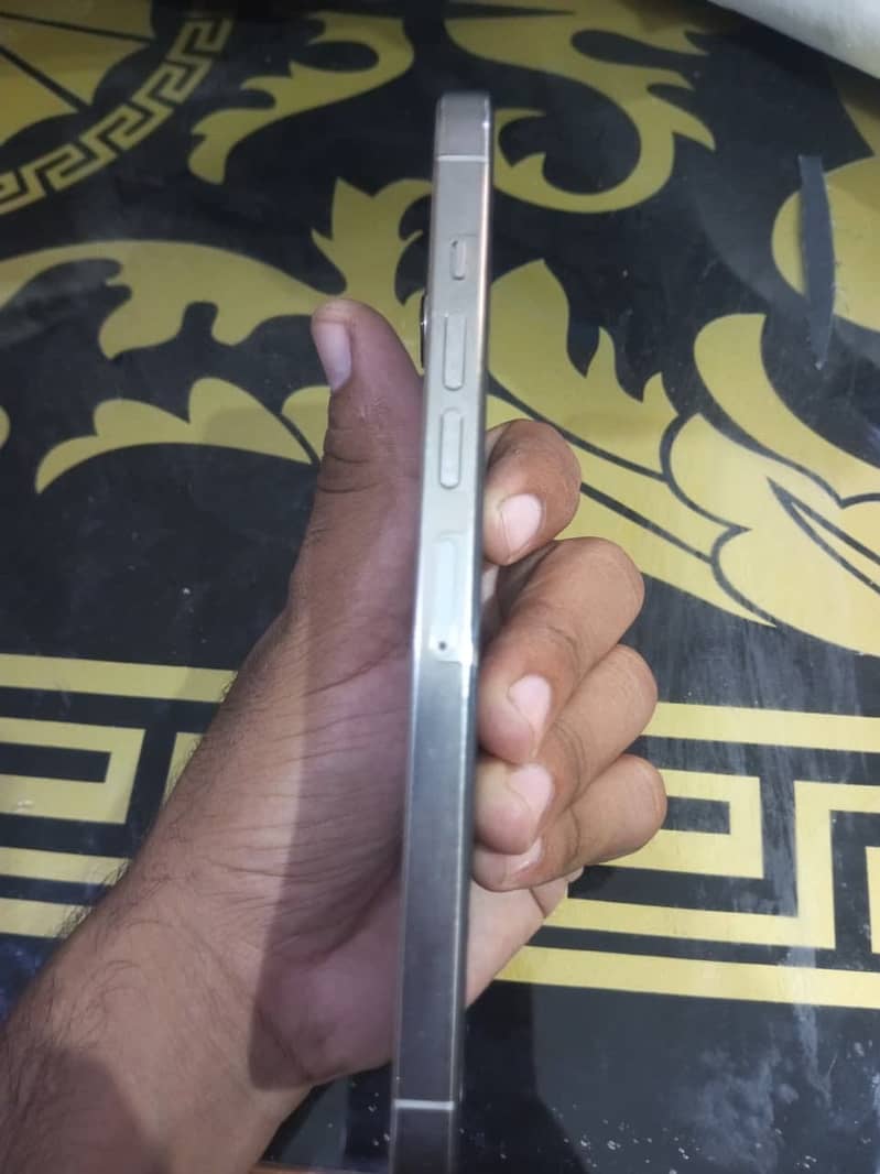 Apple iPhone 13 Pro Max 2