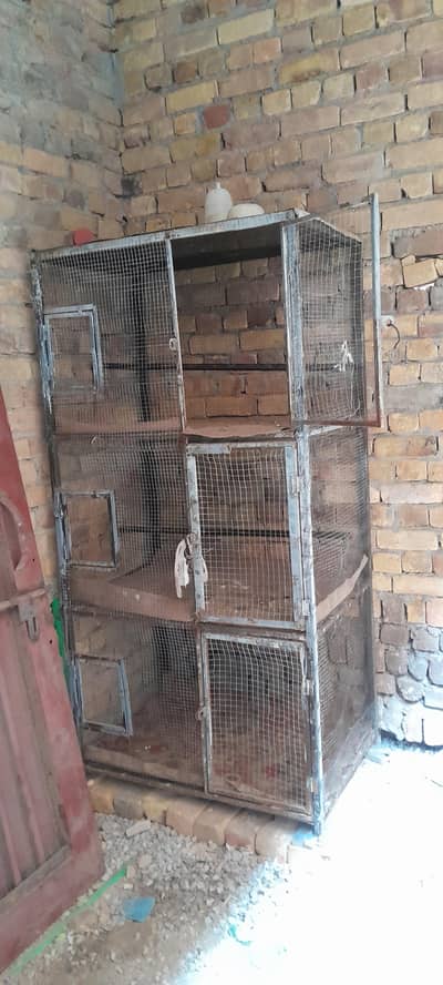 3 khani wla cage