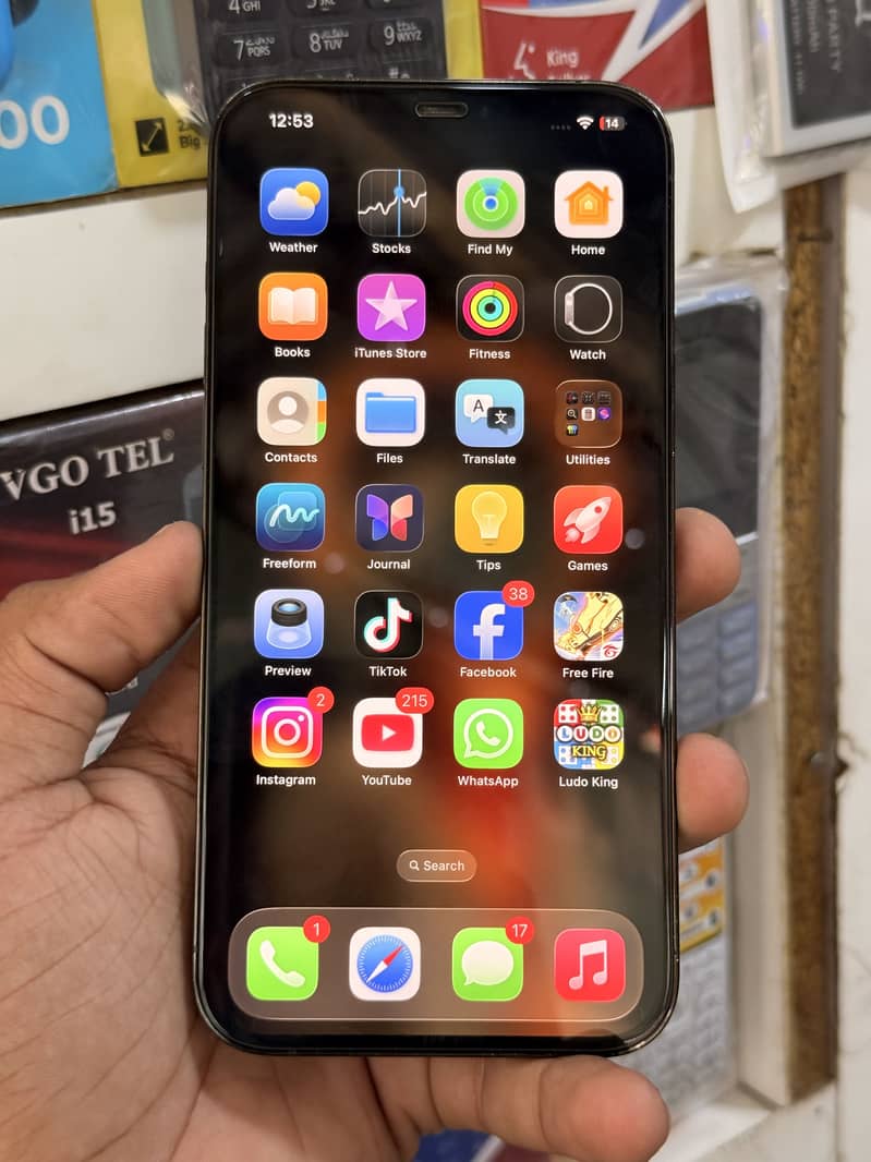Apple iPhone 12 Pro Max 1