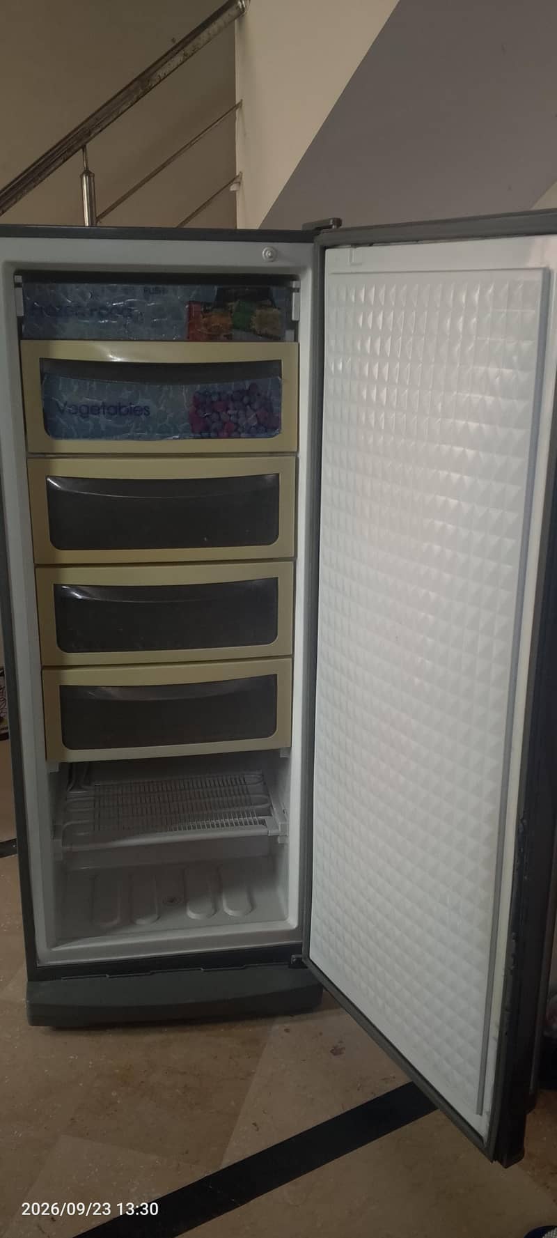 Vertical Freezer 1