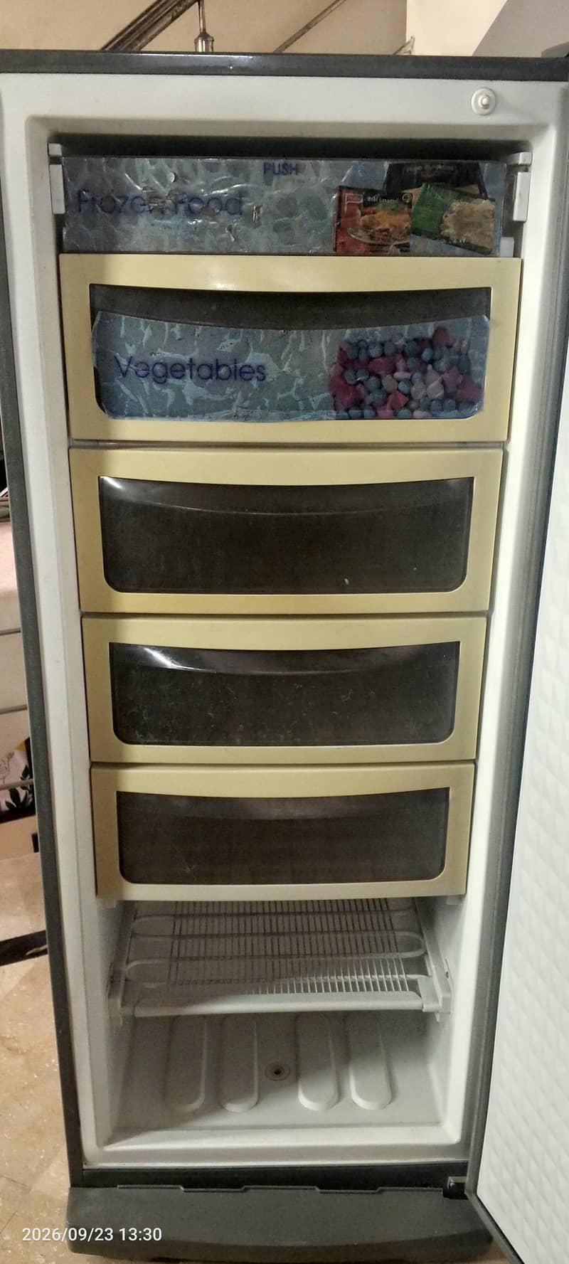 Vertical Freezer 2