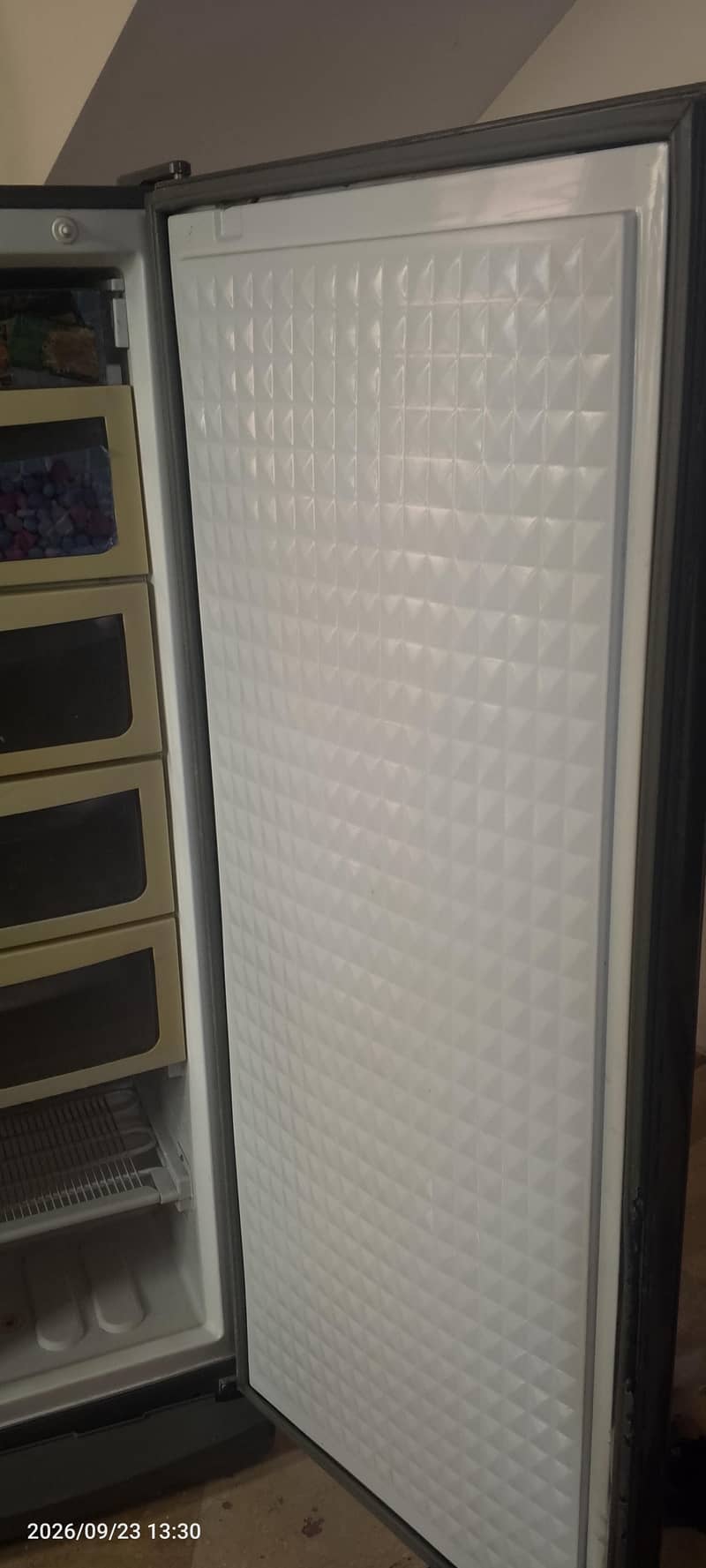 Vertical Freezer 3