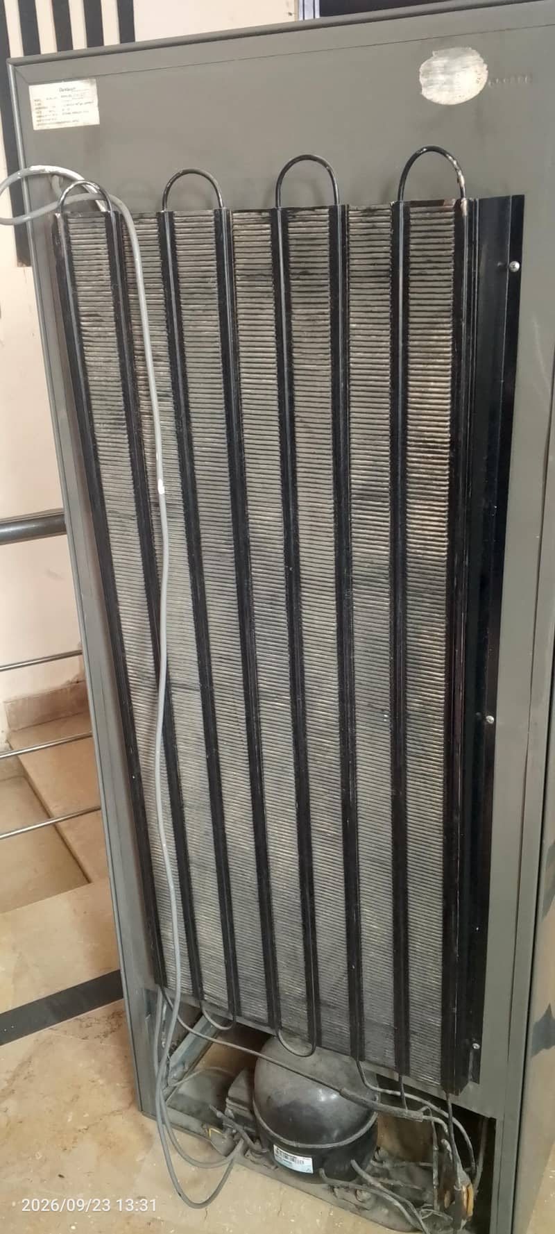 Vertical Freezer 4