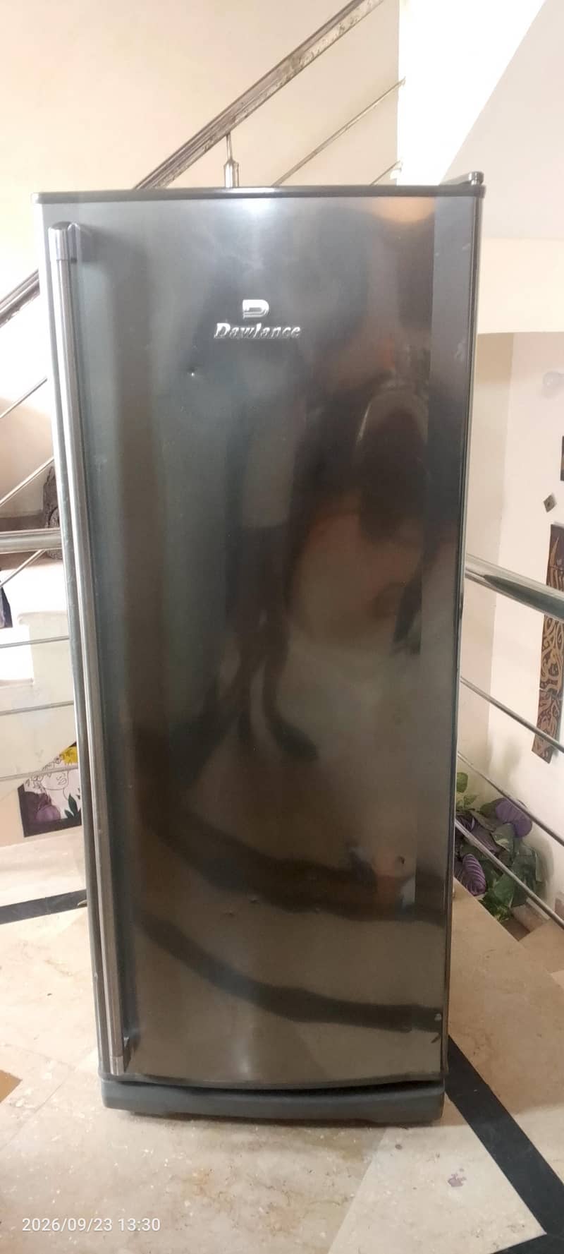 Vertical Freezer 5