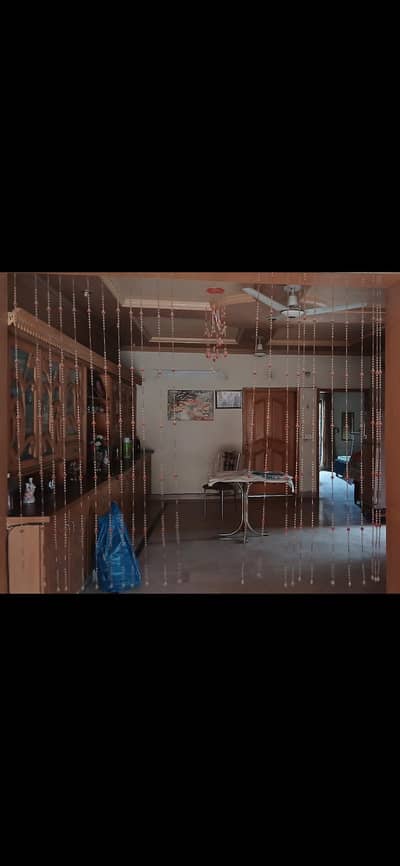 24 moti curtain