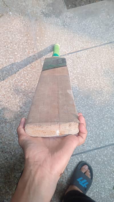 New balance cricket bat