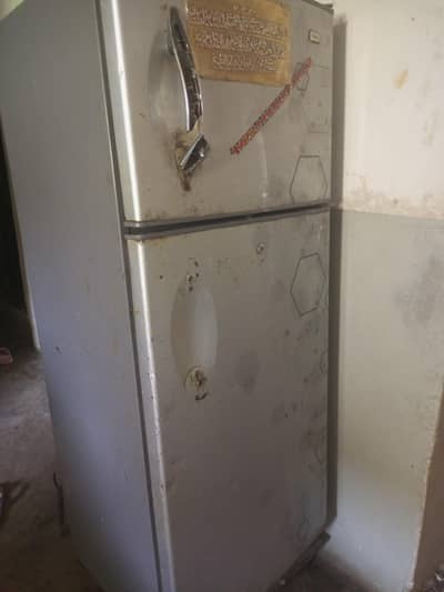 hair refrigerator