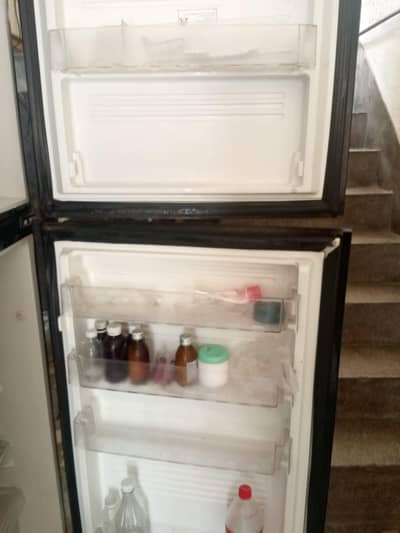 pel fridge for sale