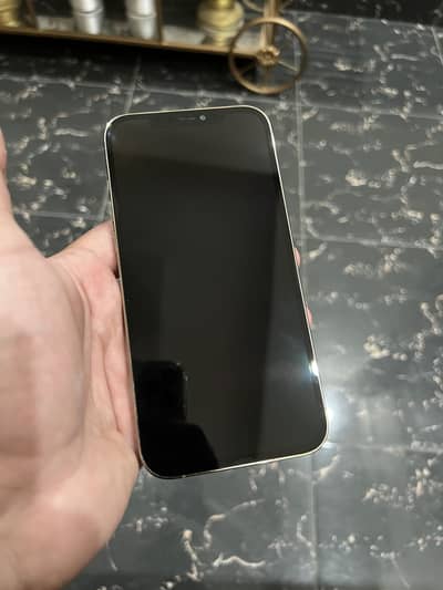 iPhone 12 Pro Max 256 GB PTA Approved
