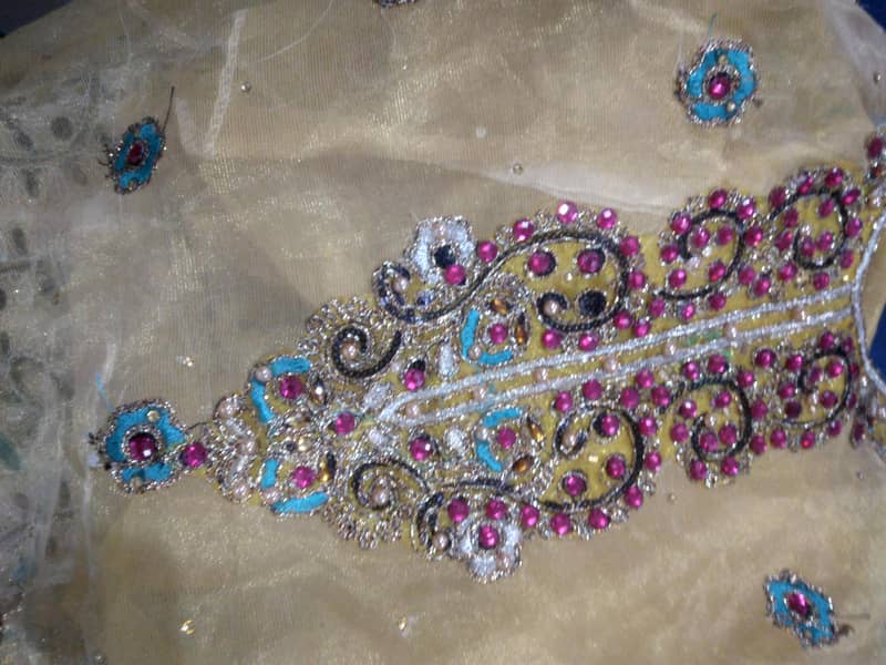 Multan Bahwalpur Sindhi 2