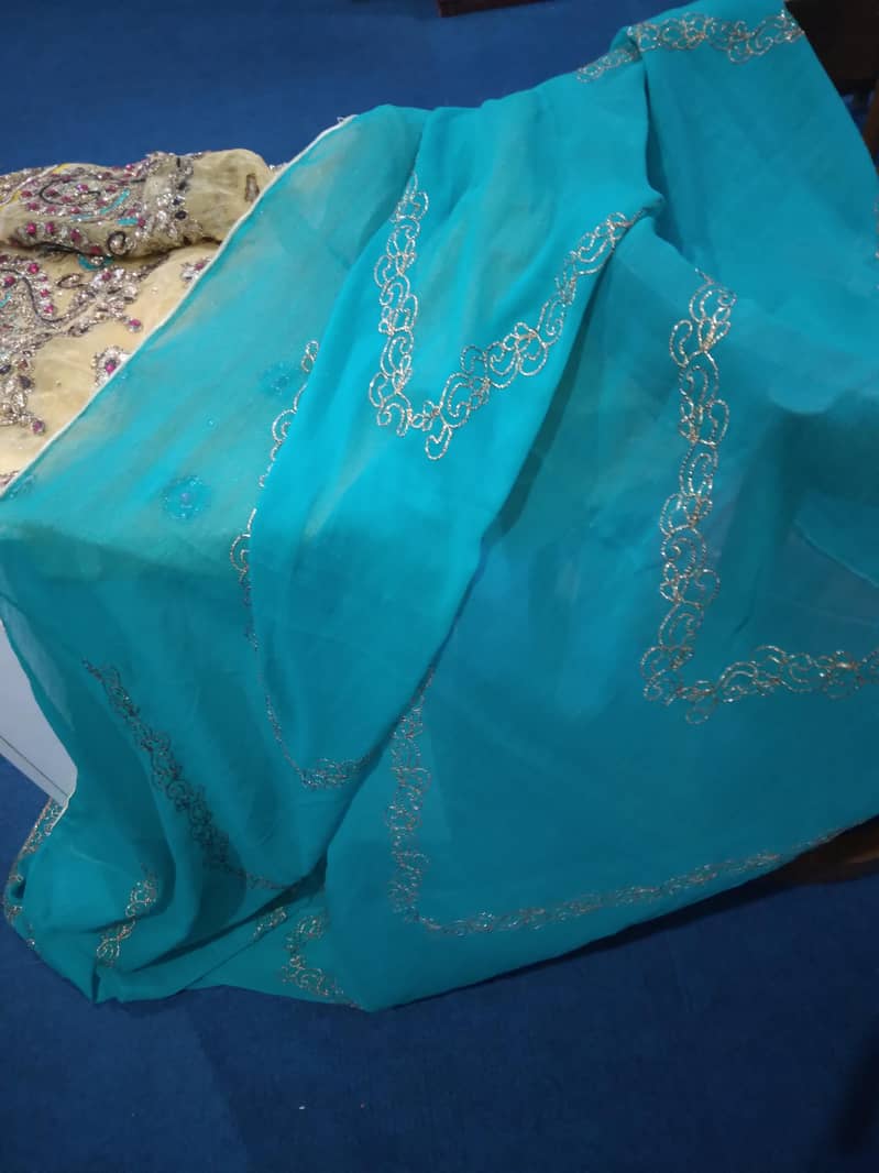 Multan Bahwalpur Sindhi 6