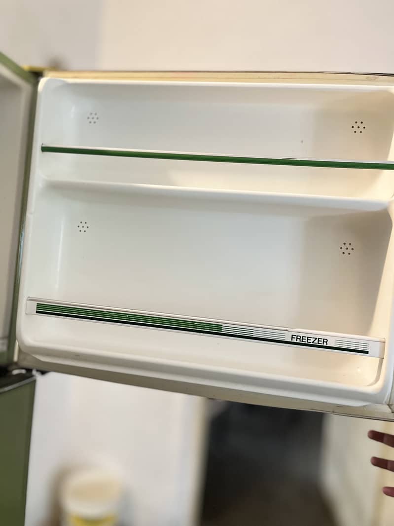 Fridge 3