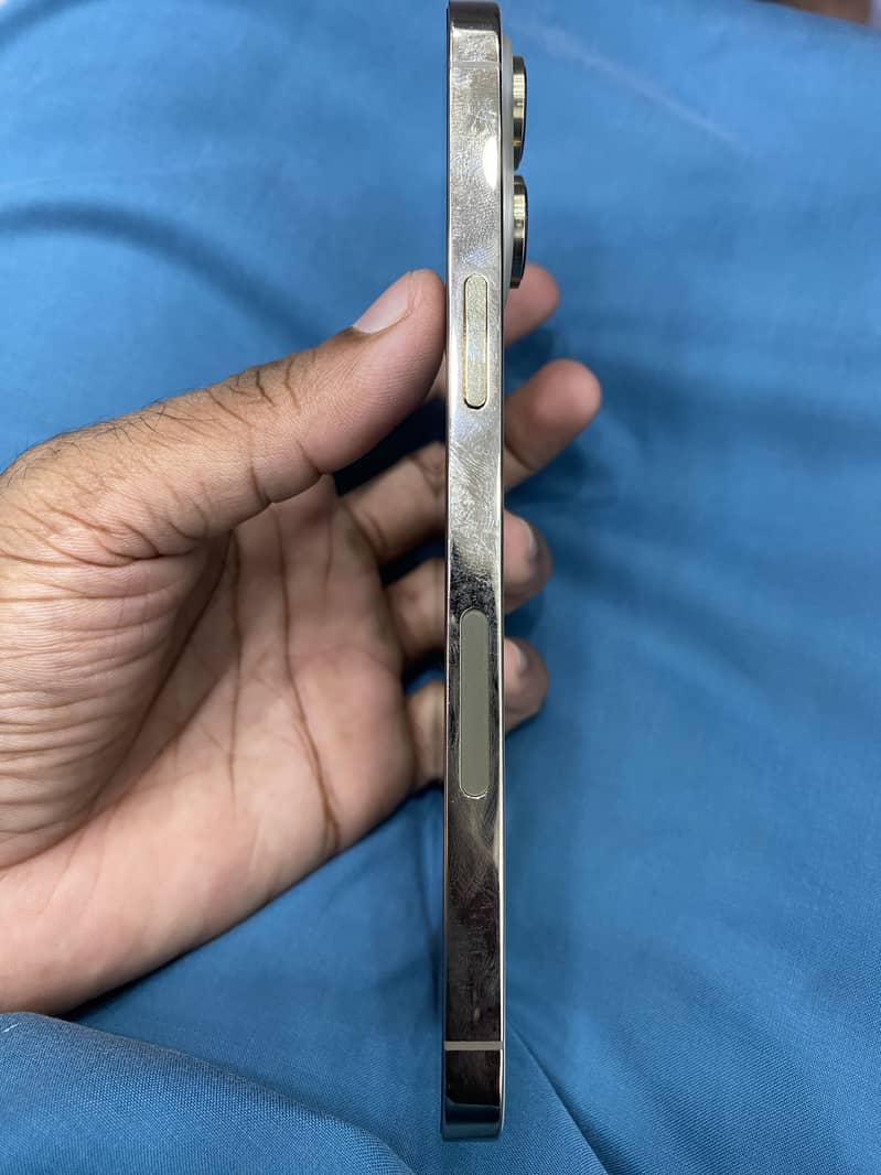 Apple iPhone 14 Pro Max 1