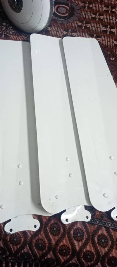 brand new fan for sale