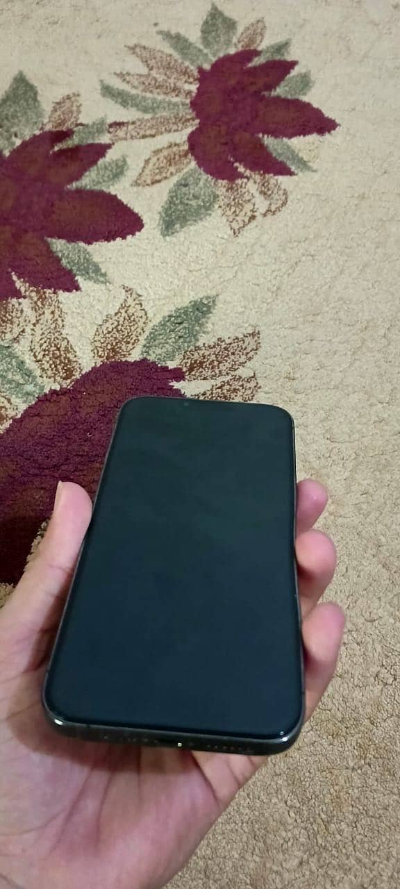 Apple iPhone 13 Pro Max 6