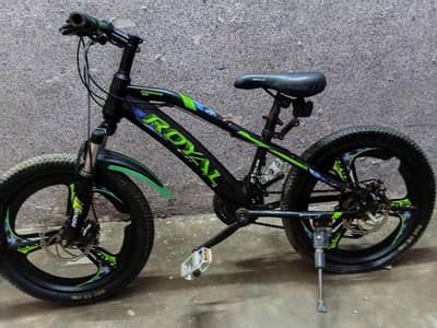 royal bycycle