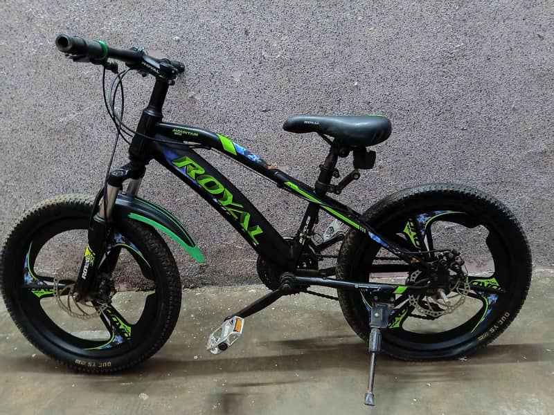 royal bycycle 3