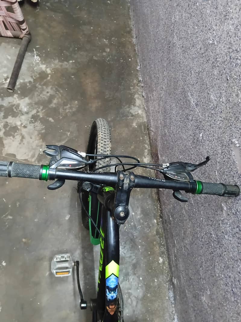royal bycycle 4