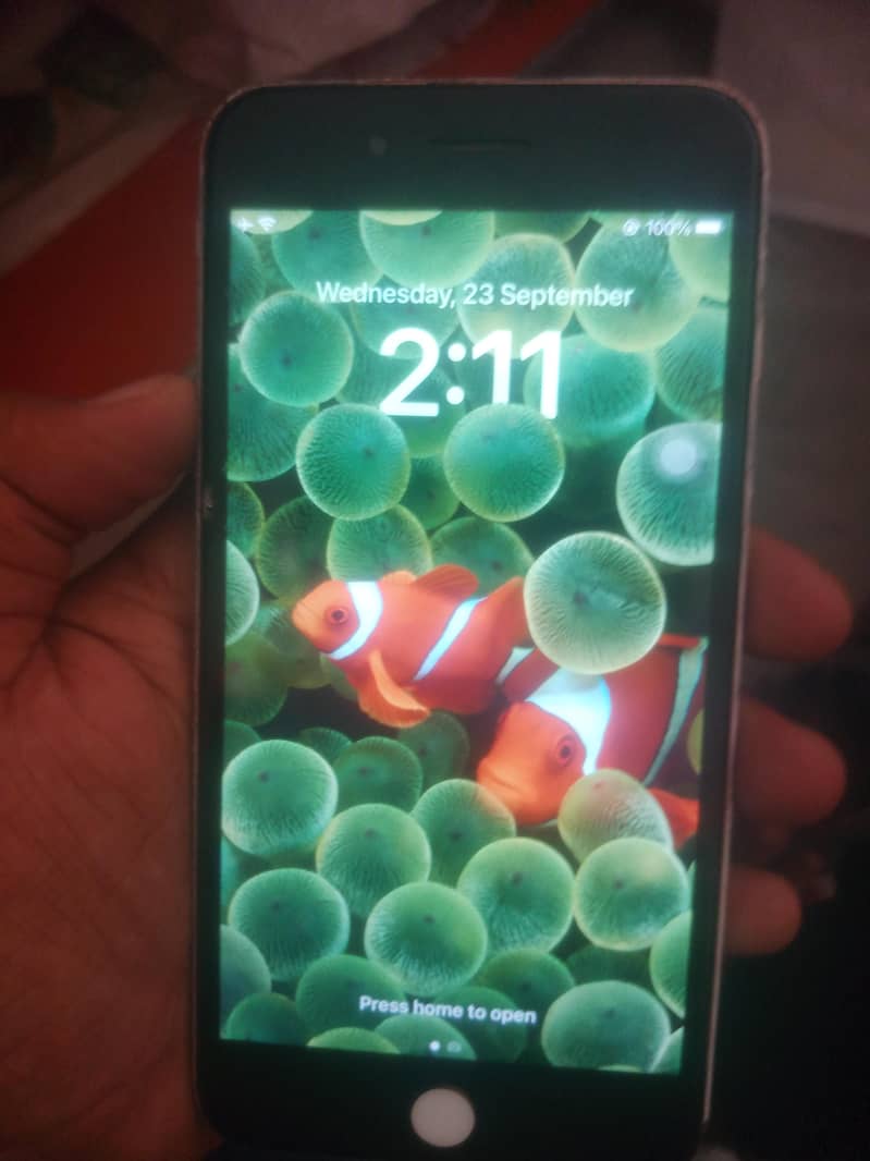 Apple iPhone 8 Plus 5