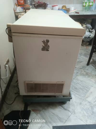 2 Door deep freezer
