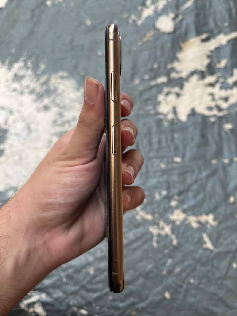 Apple iPhone XS Max 5