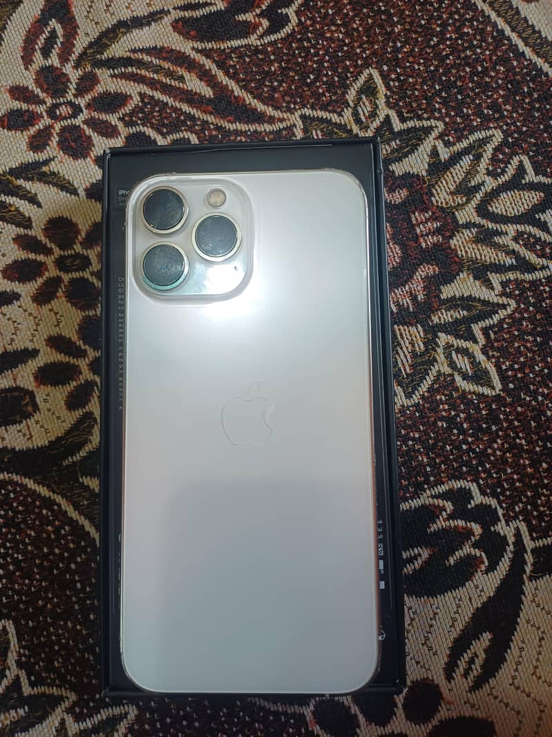 Apple iPhone 13 Pro Max 1