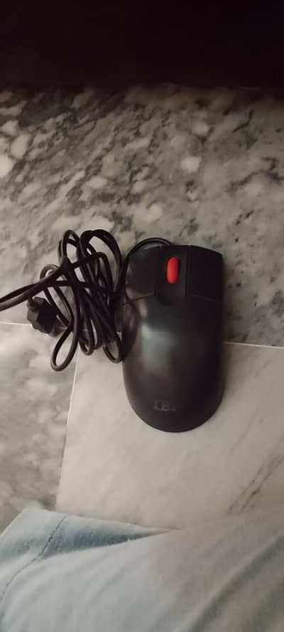 computer mouse