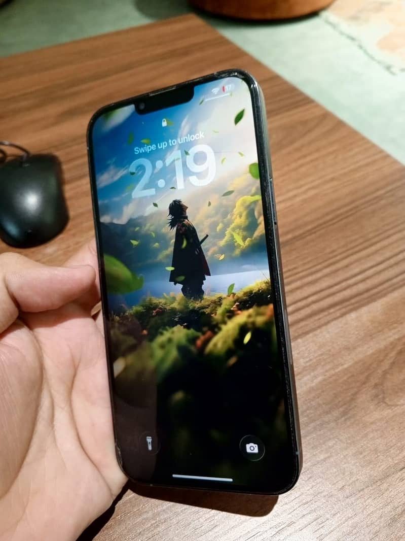 Iphone 13 Pro max 1