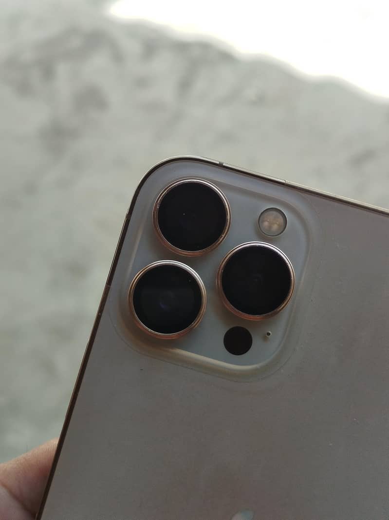 Apple iPhone 13 Pro Max 1