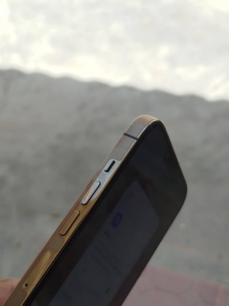 Apple iPhone 13 Pro Max 9
