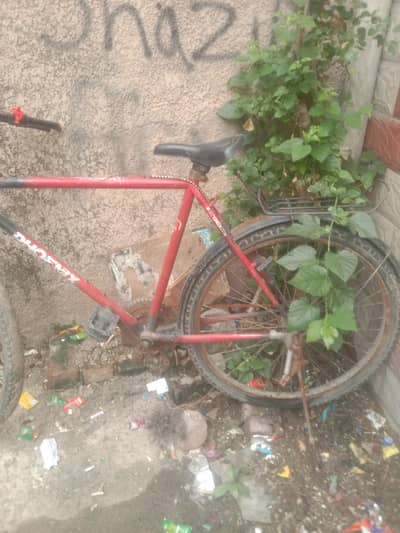 cycle