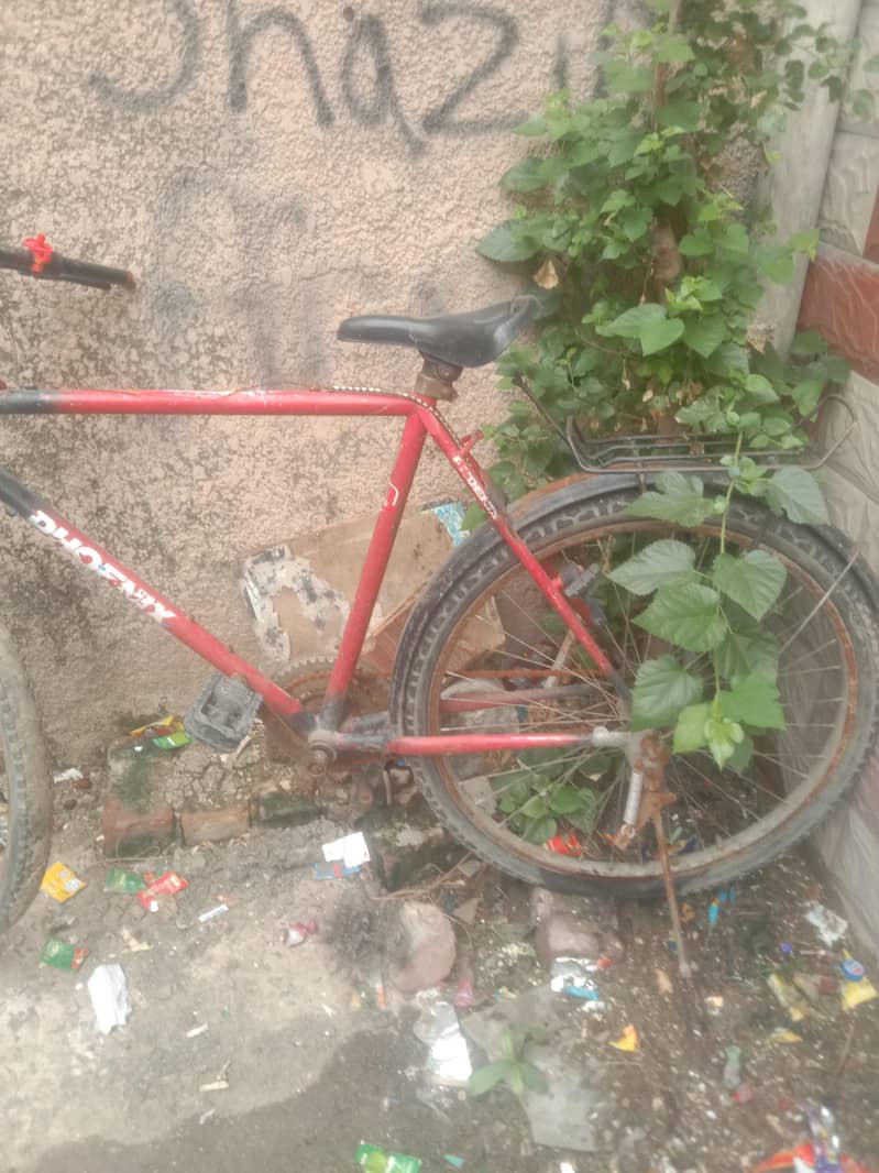 cycle 0