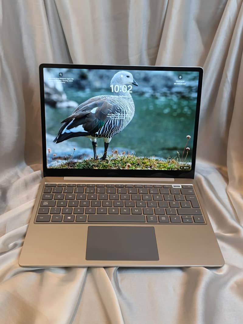 Microsoft Surface Go, Touch display 2