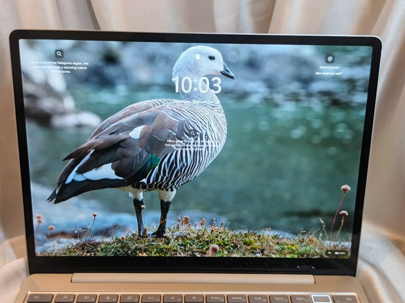 Microsoft Surface Go, Touch display 3