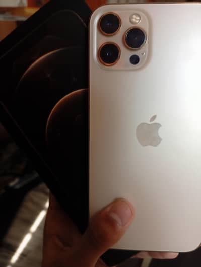 Apple iPhone 12 Pro Max