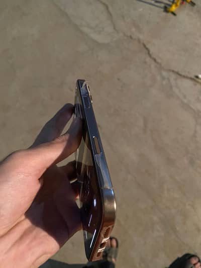 Apple iPhone 16 Pro Max dual physical