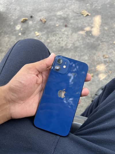 IPHONE 12 pta