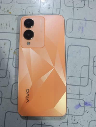 Vivo Y17s