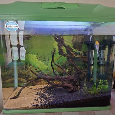Aquarium , imported aquarium